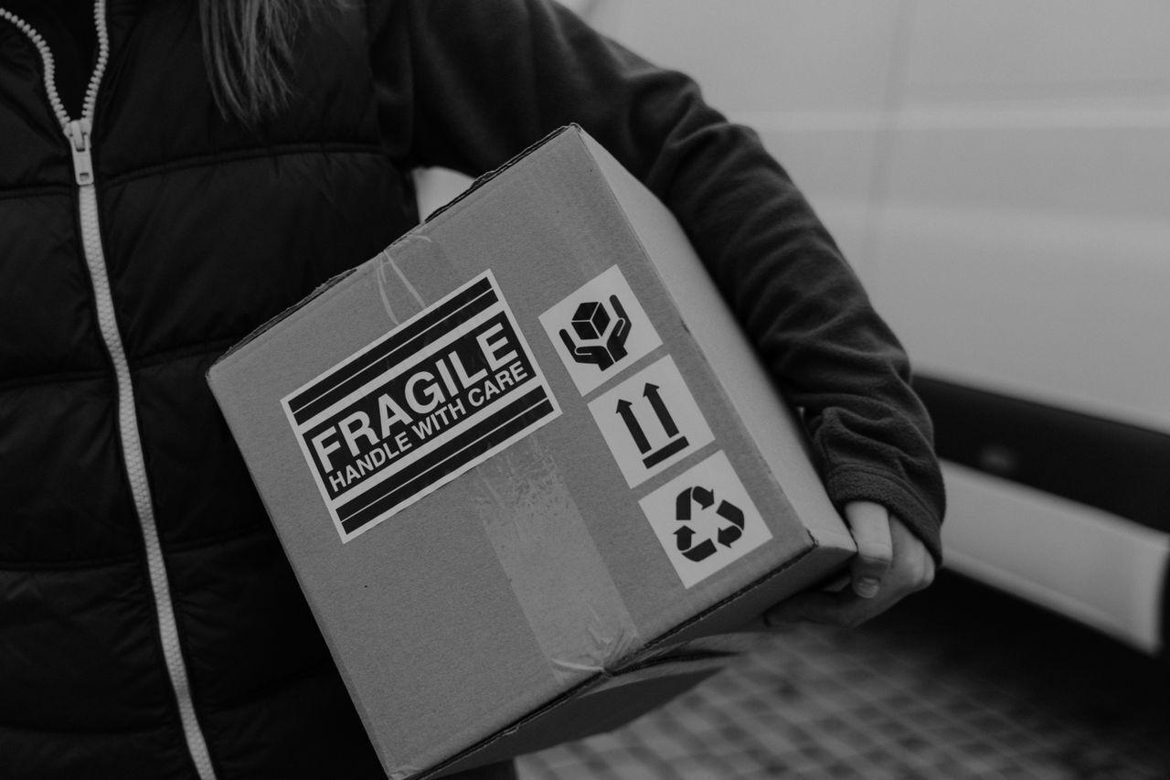 ecommerce online shopping delivery courier — E-commerce & On-Demand Delivery Platform — Powered by ERPNext delivered by Acube Innovations (ERPNext, AI & software, India)