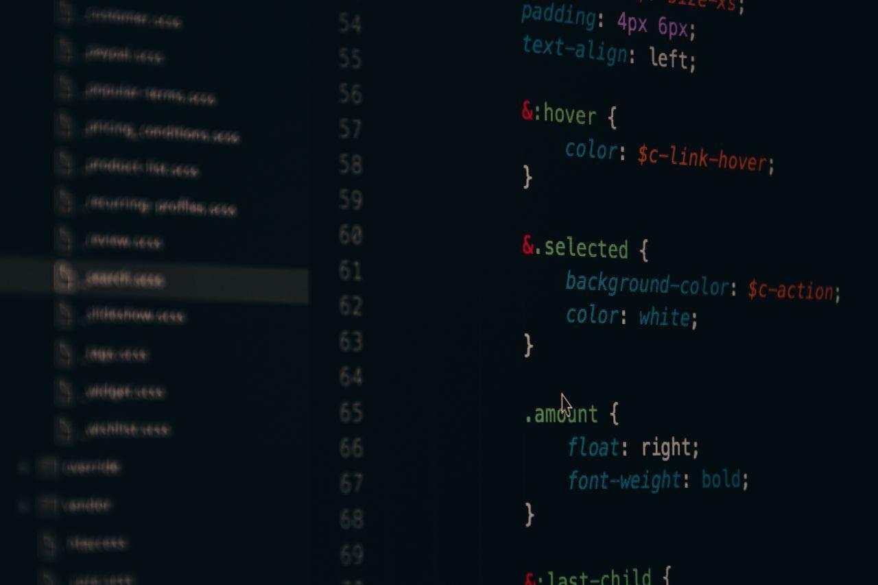 ERPNext Customisation — Make the ERP Fit Your Business, Not the Other Way Around — software developer customizing code screen, by Acube Innovations, an ERPNext & software development company in India