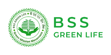 BSS Green Life Solar Division logo