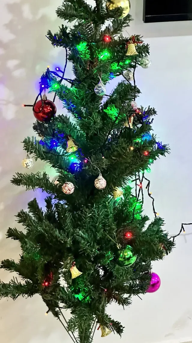 A Christmas tree in the office