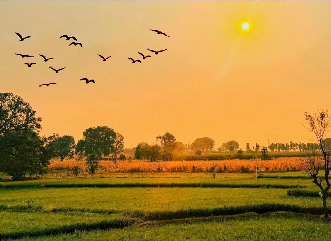 Kamareddy, Telangana — Acube Innovations service area