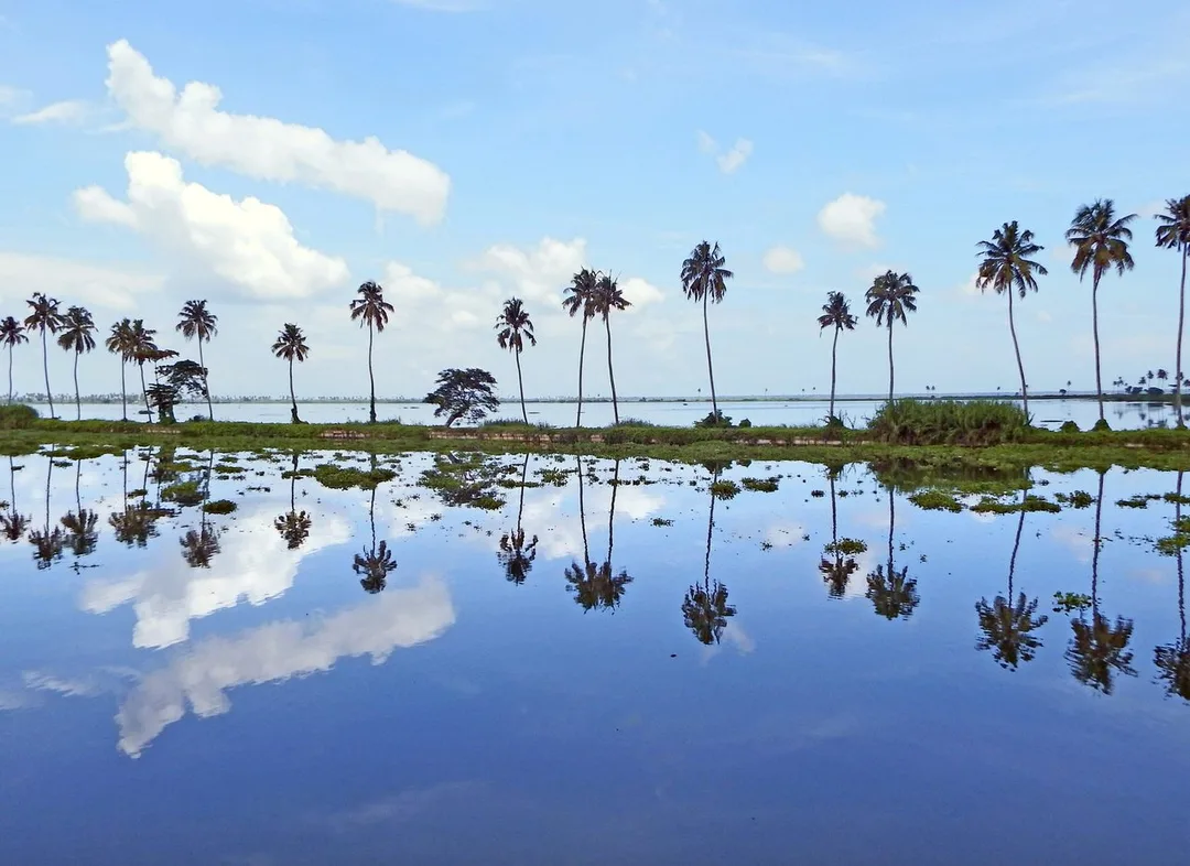 Kottayam, Kerala — Acube Innovations service area