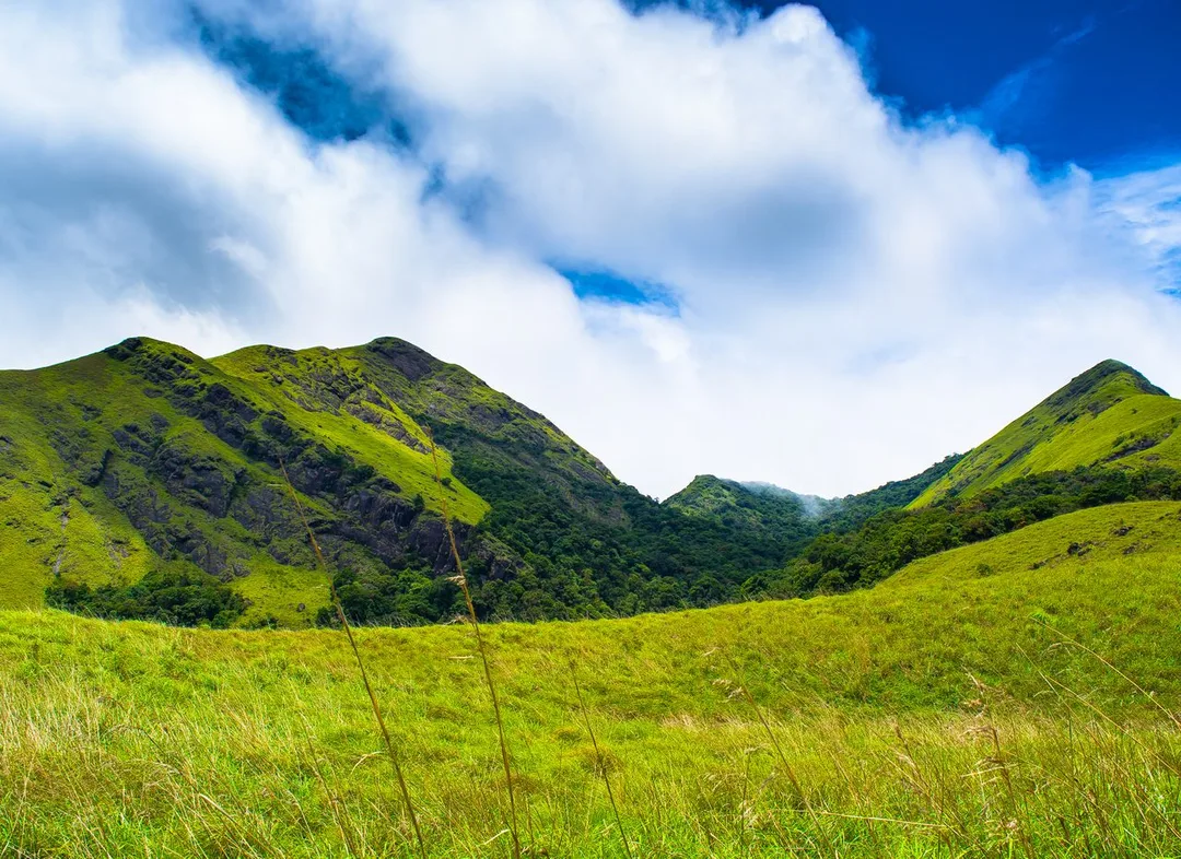 Wayanad, Kerala — Acube Innovations service area